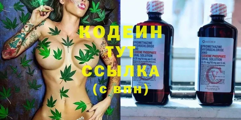 мега онион  где купить наркотик  Камбарка  Кодеиновый сироп Lean напиток Lean (лин) 